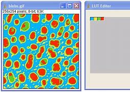Image result for Lut-Mlc