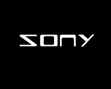 Image result for Sony Logo Invert