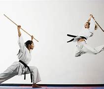 Image result for Martial Arts Stick Weapons