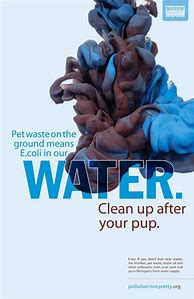 Image result for Environmental Water Pollution
