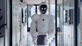 Image result for Humanoid Robot for Home