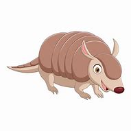 Image result for Armadillo Clip Art