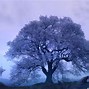 Image result for Really Cool Wallpapers for PC