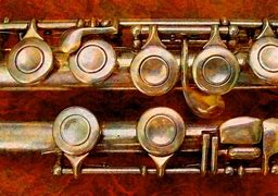 Image result for Lizzo Flute Parts