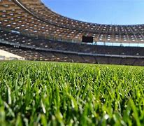 Image result for Wallpaper Campo De Futbol