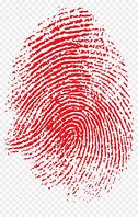 Image result for Touch Fingerprint
