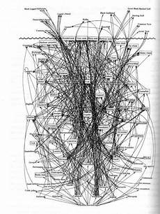 web bid food webs are slightly more complicated in real web bid food webs are slightly more complicated in real