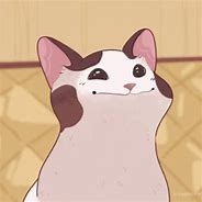 Image result for Cute Cat PFP GIF