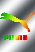 Image result for Puma Cricket Logo