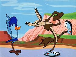 Image result for Coyote vs Road Runner Real Life