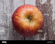 Image result for 1 Red Apple