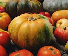Image result for Apples and Pumpkins