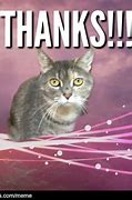 Image result for Thank You so Much Meme