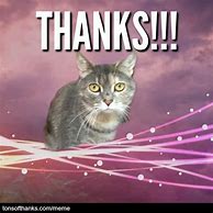 Image result for Thank You Meme Business Cat