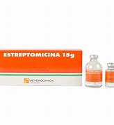 Image result for estreptomicina