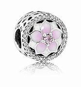 Image result for Pandora Charms Only