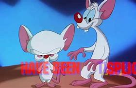 Image result for Pinky and the Brain Multilanguage Intro