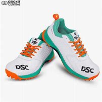 Image result for DSC Shoes Cricket