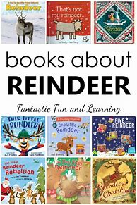 Image result for Christmas Book Nonfiction