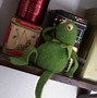 Image result for Kermit the Frog Happy Sad Percy and Duck
