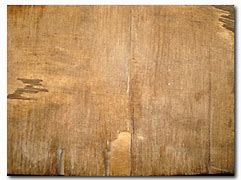 Image result for Free Grain Textures for Photoshop