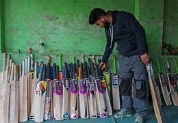 Image result for Cricket Bat Industry of India