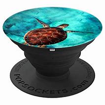 Image result for Turtle Pop Socket