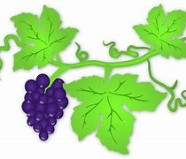 Image result for Retro Grape 5s