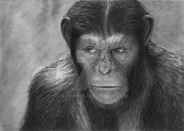Image result for Caesar Ape Drawing