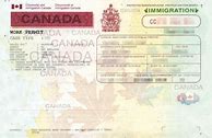 Image result for Work Permit USA