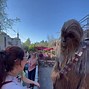 Image result for Disneyland Florida Parks