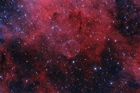 Image result for What Stars Make Up Cygnus