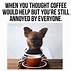 Image result for Coffee versus Tea Memes Funny