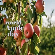 Image result for 21st October Apple Day