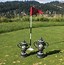 Image result for Golf Trophy Cup