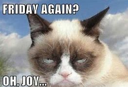 Image result for Black Friday Grumpy Cat Memes