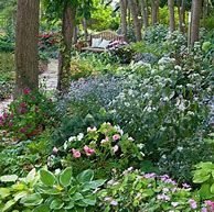 Image result for Small Shade Garden Ideas