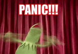 Image result for Yay Panic Meme Kermit