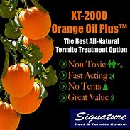Image result for Orange Termite Spray