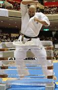 Image result for Karate Board Breaking Holder