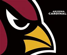 Image result for Arizona Cardinals