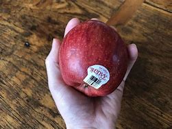 Image result for Jenis Apple Envy