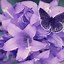 Image result for Purple Flowers Wallpaper for Phone