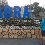 Image result for abarracaf