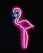 Image result for Flamingo 2 Neon