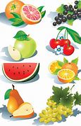 Image result for Vector Fruit Clip Art