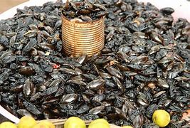 Image result for Cambodia Insect Food