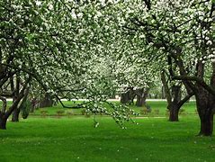 Image result for Apple Hill Growers Map