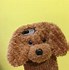 Image result for Cute Fluffy Dog Phone Cases