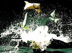 Image result for Champagne Bottle Explosion